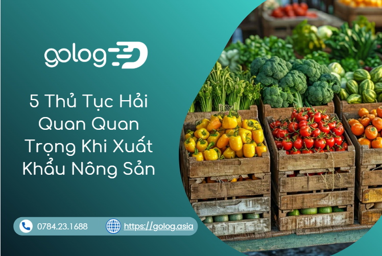5 Thủ Tục Hải Quan Quan Trọng Khi Xuất Khẩu Nông Sản – Hướng Dẫn Chi Tiết 2026